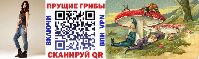 Псилоцибиновые грибы MAGIC MUSHROOMS  Камень-на-Оби 